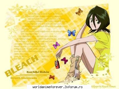Rukia - Orihime - Bleach